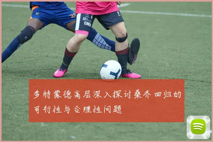 多特蒙德高层深入探讨桑乔回归的可行性与合理性问题